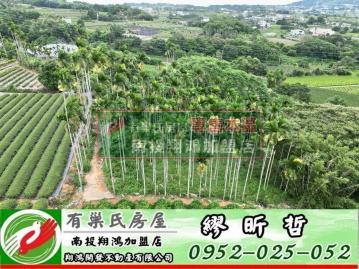 南投買房 名間鄉三崙439坪低總價農保｜農地｜急售