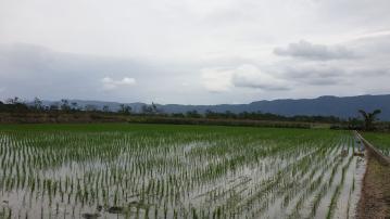 花蓮透天顧問  鳳林慢城清水溪為鄰美農地