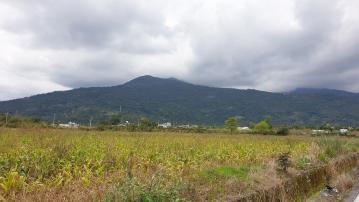 花蓮透天顧問  鳳林近清水溪畔雙面路農地