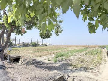 佳里區㊣成功路旁✱增值發財美農地