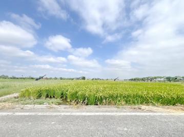 下營｜雙面臨路｜4.7分優質農地✱投資自用