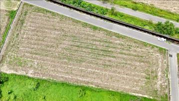 鹽水近新營工業區｜雙面臨路｜3.8分美農地