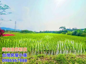 近鶯歌交流道★大溪中庄農地864坪★2筆地號可分售