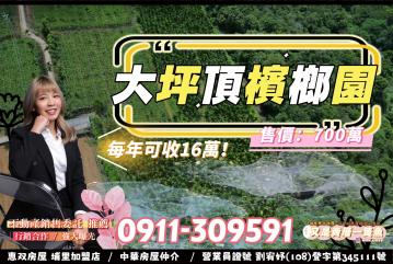 ◆大坪頂檳榔園【又是賣厝一隻魚】埔里透天別墅