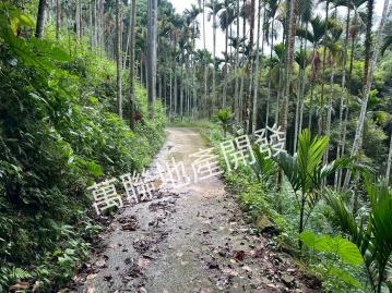 中彰投工業地 區段徵收農地 東勢東坑林業用地