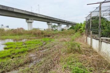 台南土地承  新市｜投資首選｜都內農地