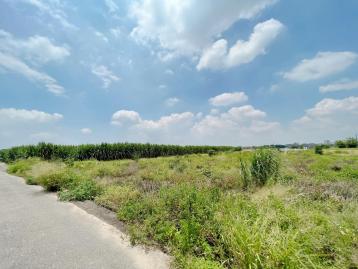 台南土地承  新市區大社｜3.7分｜農地