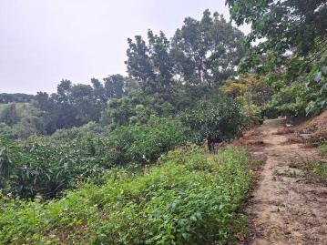 台南土地承  關廟區｜鳳梨山公園｜農地