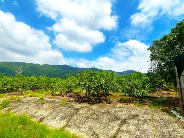 台南土地承 楠西區｜2.7分｜低總價｜農牧用地（A）