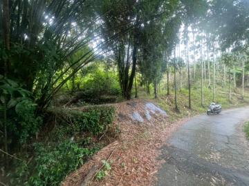 南投不動產 南投中寮3.5分低總價車可達農地