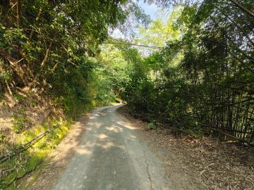 南投不動產 南投中寮近中集路4.1分原生態農地