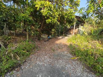 南投不動產 南投北中寮泡麵土地公4.9分漂亮農地