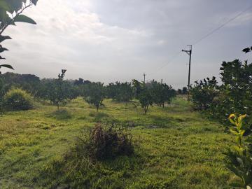 南投不動產 雲林縣林內鄉都計內1.95分景觀農地