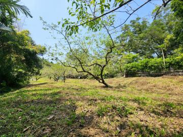 竹東軟橋近重劃區低總價休閒美地*594好房