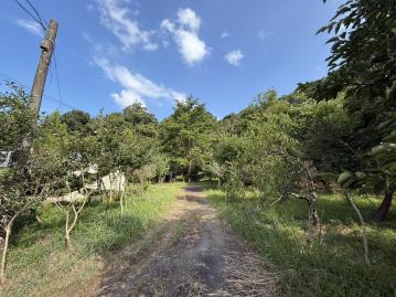 宜蘭三星農地 南崁房地達人