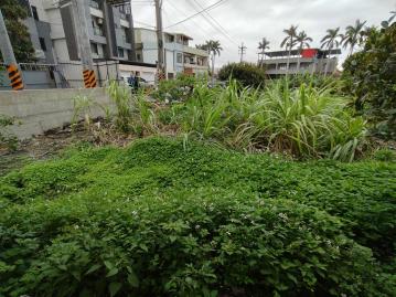 頭份永貞段建地 南崁房地達人