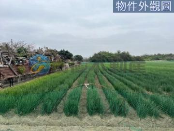 安南買屋賣屋   「獨家」?安南賣公告現值持分都內美農地