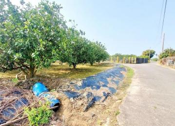 安南買屋賣屋   麻豆區黎明中學近交流道三角窗2分都內農地
