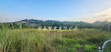 大內區鄰近走馬瀨農場平坦山坡地 台南房仲推薦 優質房仲