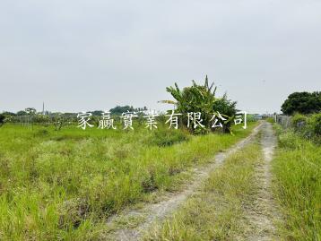 沙崙高鐵林子邊臨路農地  台南房仲推薦 優質房仲