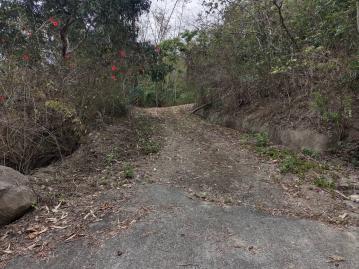 高雄杉林區新庄3.5甲便宜農地 台南房仲推薦 優質房仲	