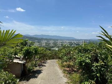 玉井近雲頂民宿芒果農地  台南房仲推薦 優質房仲