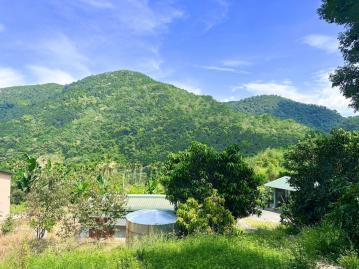 國姓玉門關旁幽靜農地