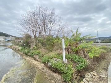 【專任】新埔市區旁超低總價方正美田 大新竹房地產