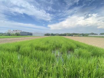 竹北每坪2.3萬超便宜超視野田 大新竹房地產