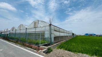 彰化賣屋大姐姐 埔鹽美田附有機蔬果溫室棚及設備