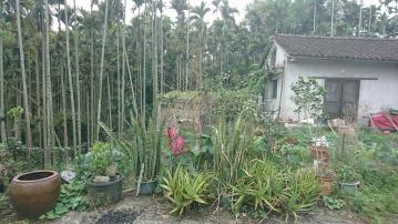 鹿谷鳳凰國小旁建地 南投草屯買好屋