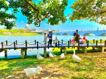 愛上❤外婆的回憶?都內一般農?俗到流眼淚