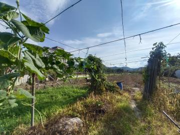 東龍不動產(埔里店)市區旁面寬美地 埔里房屋土地