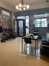 東龍不動產(埔里店) 8套房透天 埔里房屋土地