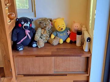 宜蘭房仲阿中 精雕細琢品味不凡電梯農舍