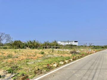 桃園大園區近客運園區大地坪美農地