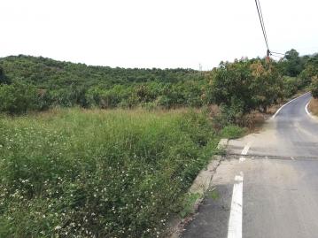 芒子芒段臨路平坦地G029台南東區找房