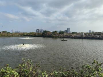 近商60持分魚塭地G031台南東區找房