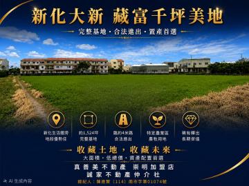 台南房地小賢  農地|新化大新藏富千坪美地