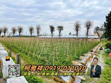 田尾中正路三面路角地 北斗房地買賣