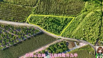 低總價-開心田園夢~水廠段541坪可一起購買 鳳山推薦房仲 