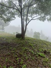 新竹五峰平坦土地原保地 大溪農舍