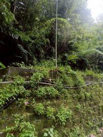 新竹五峰臨122公路林地原保地 土地 大溪農舍