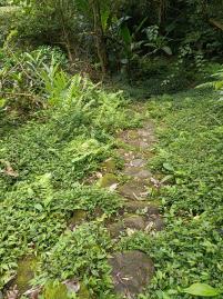 英花不動產 承恩路農保地1