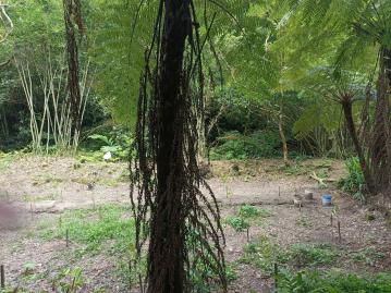 英花不動產  承恩路農保地3