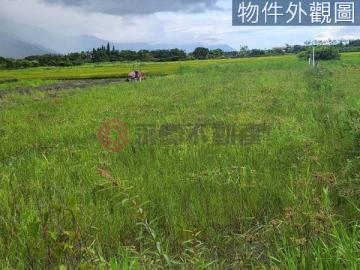 近新城佳林社區有水有電都內小筆農地