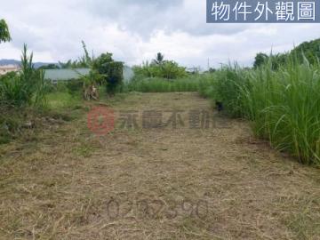 花蓮縣吉安鄉光華社區小筆農地圓農夫夢