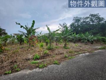 花蓮新城近海邊都內農地可分割出售
