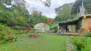 板橋不動產買賣 三峽成福開心農場