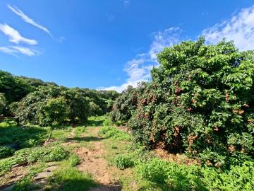 南投買房推薦  彰化員林市員南路旁百果山遊憩區方正農地